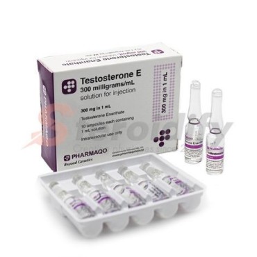 Testosterone E 300 (ampoules) Pharmaqo